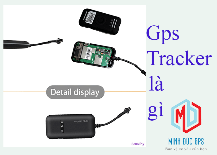 Gps Tracker là gì? Gps tracker for Dogs/Cats/Bike